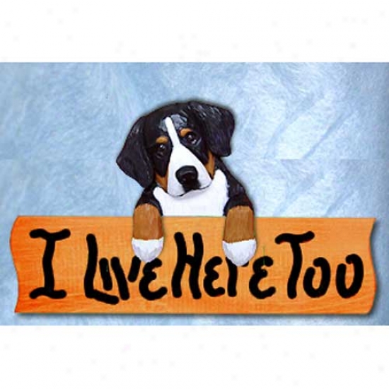 Bernese Mountain Dog I Live Here Too Maple Finish Sign
