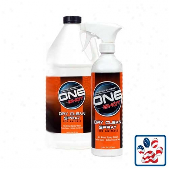 Best Chatoyant One Shot Dry Clean Spray 16oz
