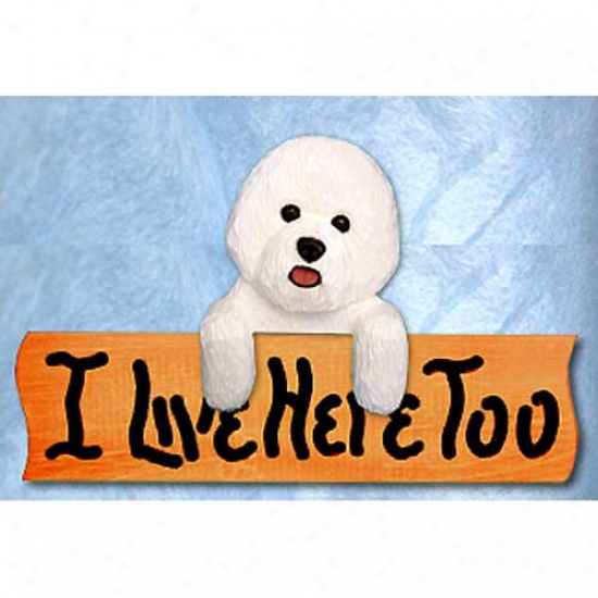 Bichon Frise I Live Here Too Maple Finish Prodigy