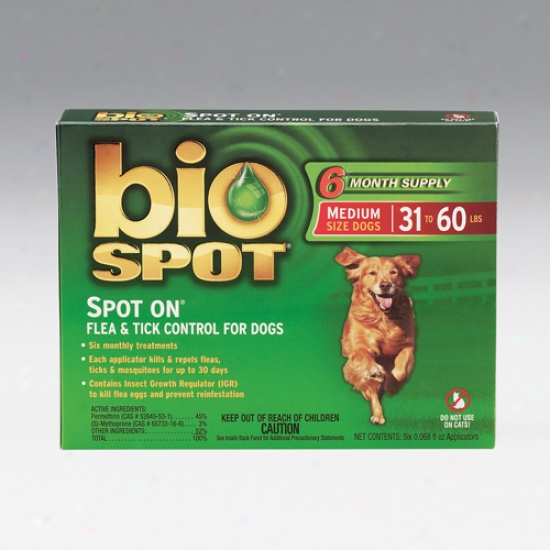Bio Spot Spot Forward Flea And Tick Control For Dogs 31-60 Lbs , 6 Pack