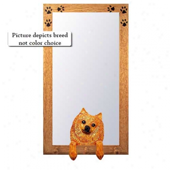 Black And Tan Pomeranian Large room Mirror Wiyh Basswood Pine Frame