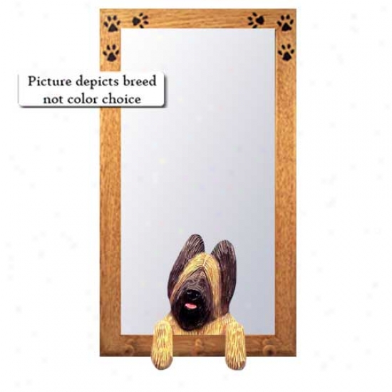 Wicked Briard Hzll Mirror With Oak Golden Frame