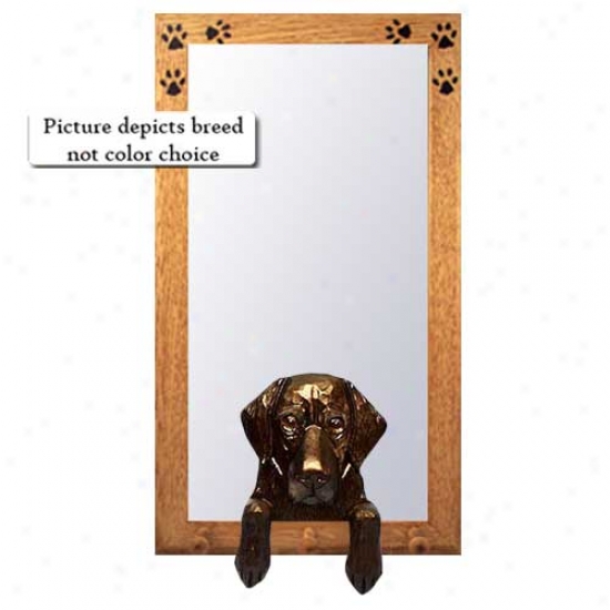 Black Dull Coated Retriever Hall Mirror With Oa kNatural Frame