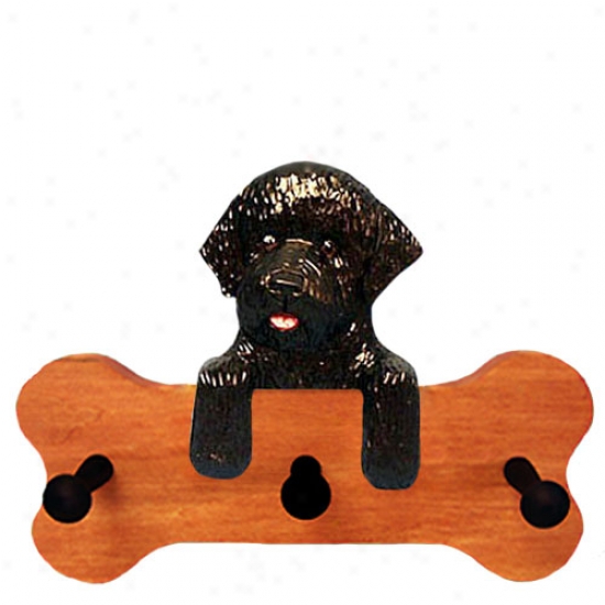 Black Portuguese Water Dog Bone Hang Up Maple Finish