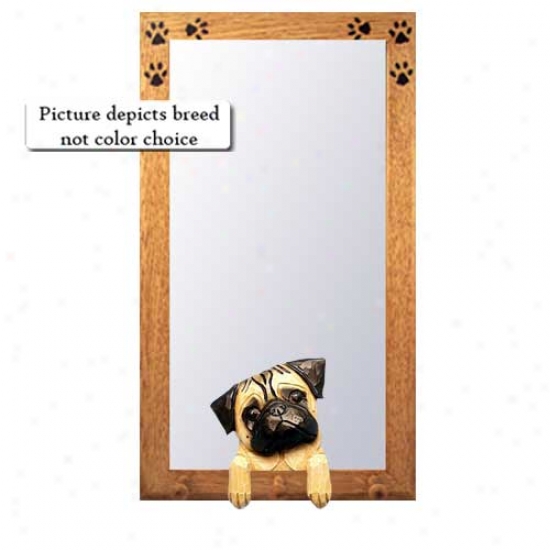 Black Pug Hall Mirror With Oak Golden Frame