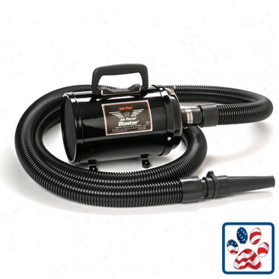 Blaster Dryer (1-speed) B-3 110v