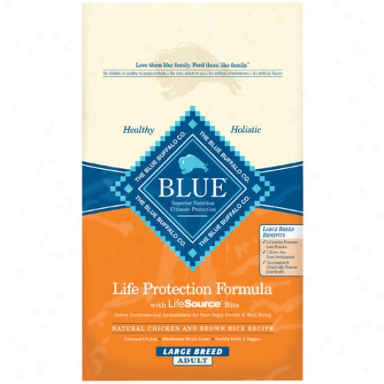 Blue Buffalo Large Breed Adult Chicken And Brown Rice Dog Food1 5lbs Oversiae