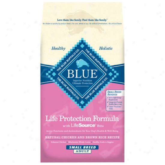 Blue Buffalo Small Breed Adult Chicken And Brown Rice Dog Foooe 6lb Oversize
