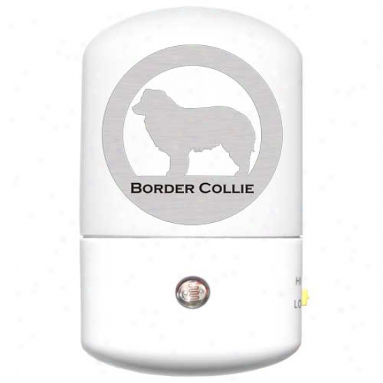 Border Collie Led Night Light