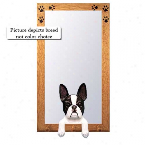 Boston Terrier Hall Mirror With Oak Golden Frame