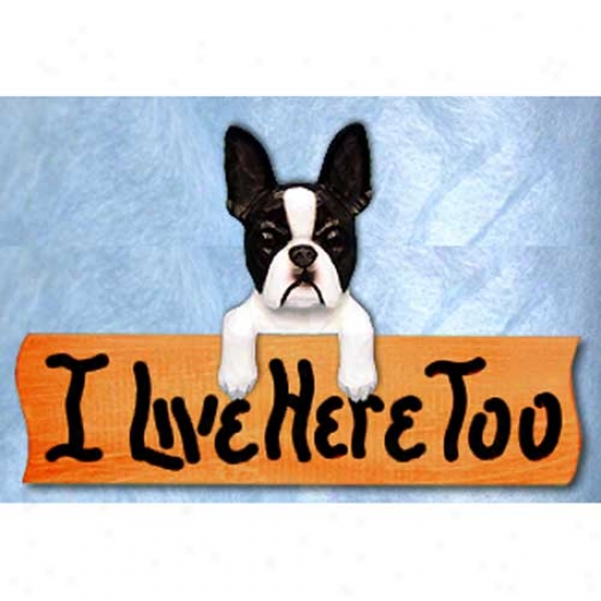 Boston Terrier I Live Here Too Maple Finish Sign