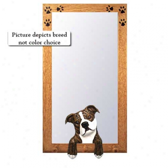 Brindle And White Staffordshire Bull Terrier Hall Mirror Basswood Walnut Frame