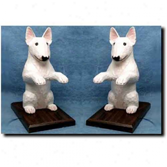 Bull Terrier Bookensd White