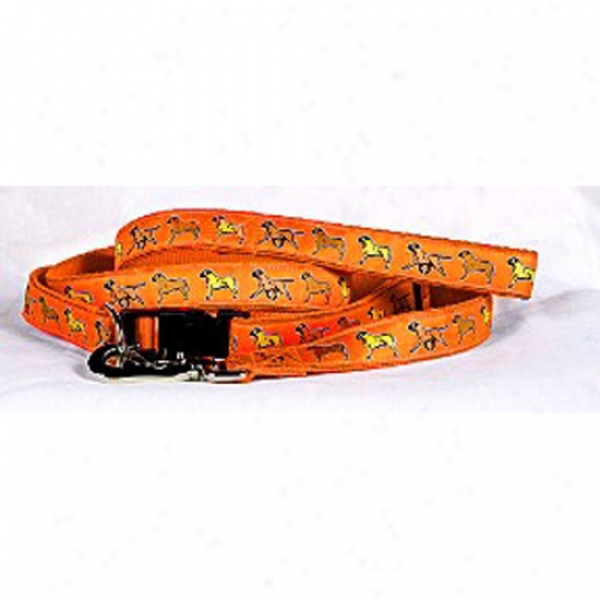 Bullmastiff - Oranfe Collar And Head Set