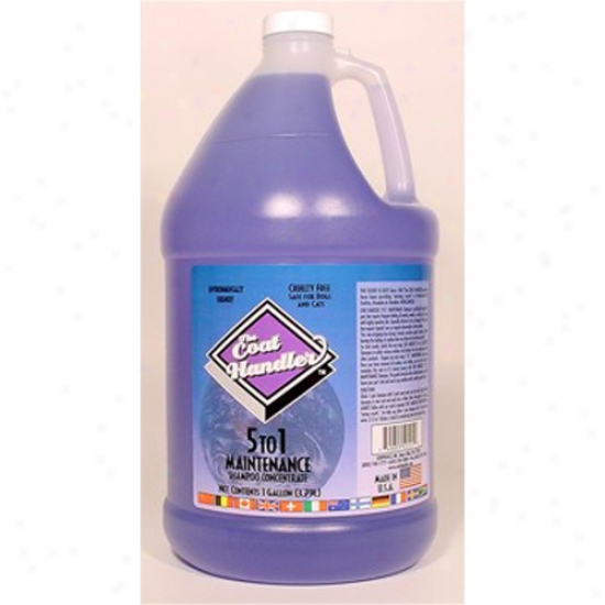 Coat Haanndler Maintenance Shampoo 5 To 1 Concentrate Gallon