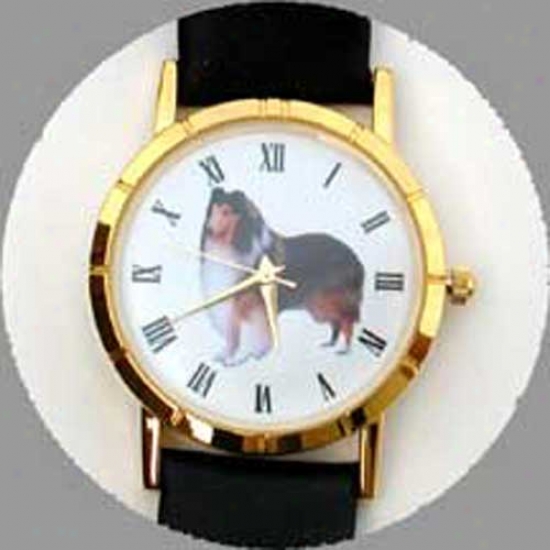 Collie (sable) Wattch - Large Face, Black Leather