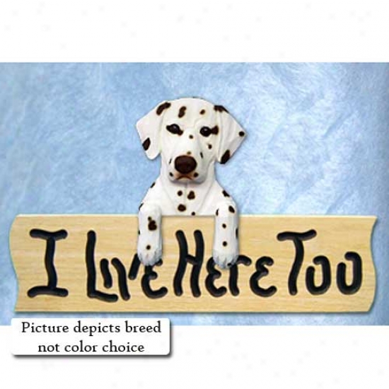 Dalmatian I Live Here Too Oak Finish Sign Black