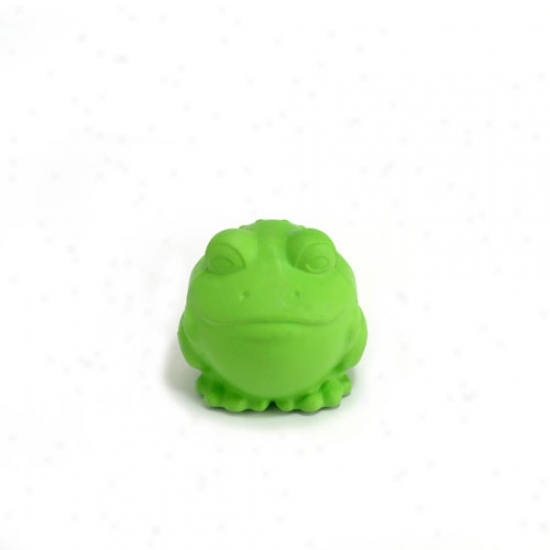 Darwin The Frog Small With Squeaker