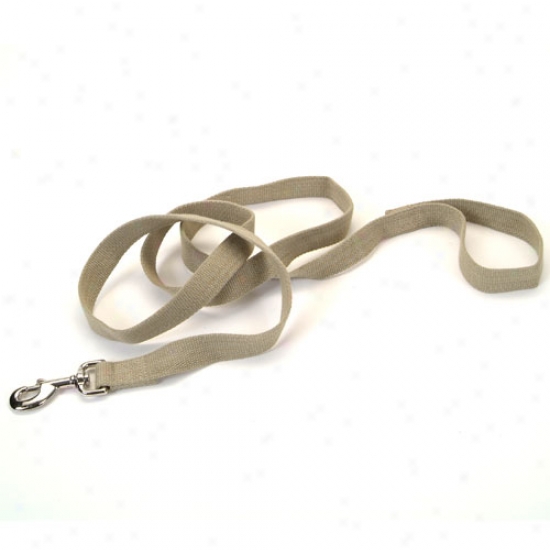 Earth Soy Dog Lead 5/8inch X 6Infantry Olive