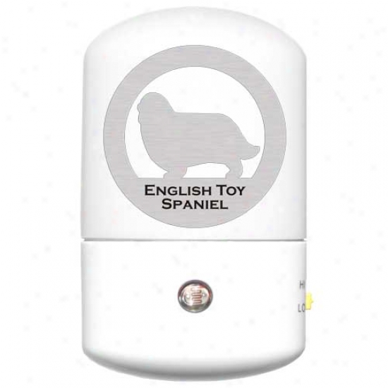English Toy Spaniel Led Night Light