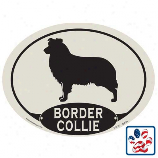 European Styyle Border Collie Car Magnet