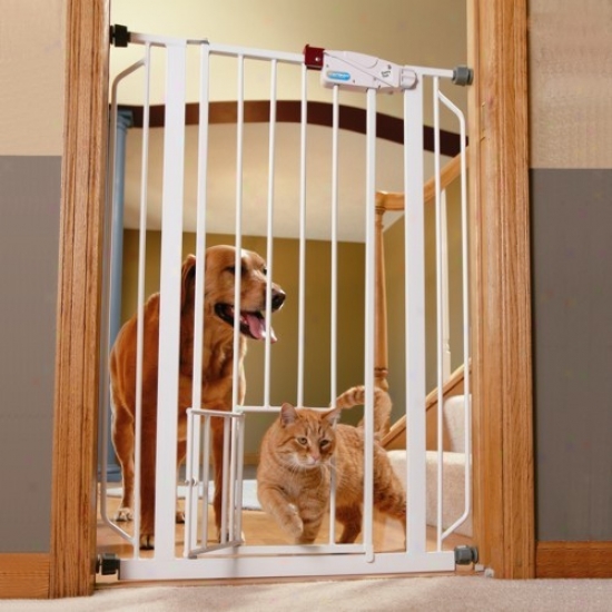 Extra Tall Wakl-thru Metal Gate Attending Small Pet Door