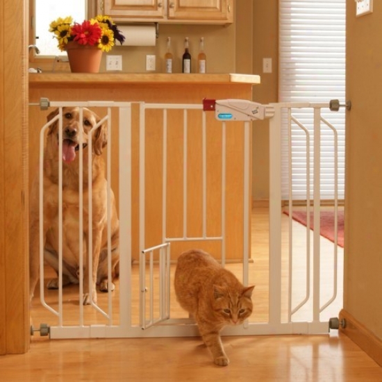 Extra Wide Walk-thru Metal Gate With Small Pet Door