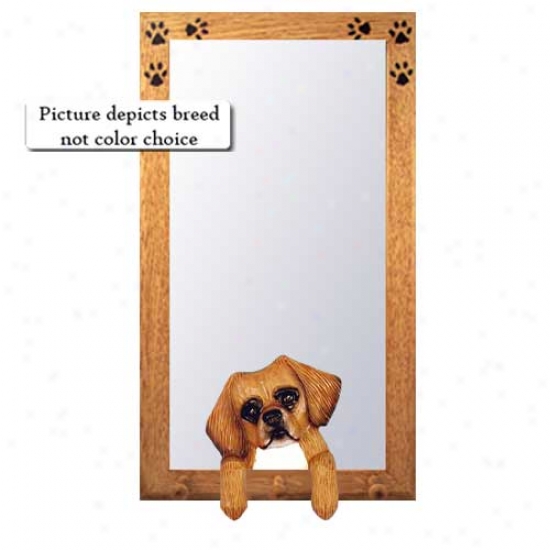 Fawn Tibetan Spaniel Hall Mifror With Oak Delightful Framme
