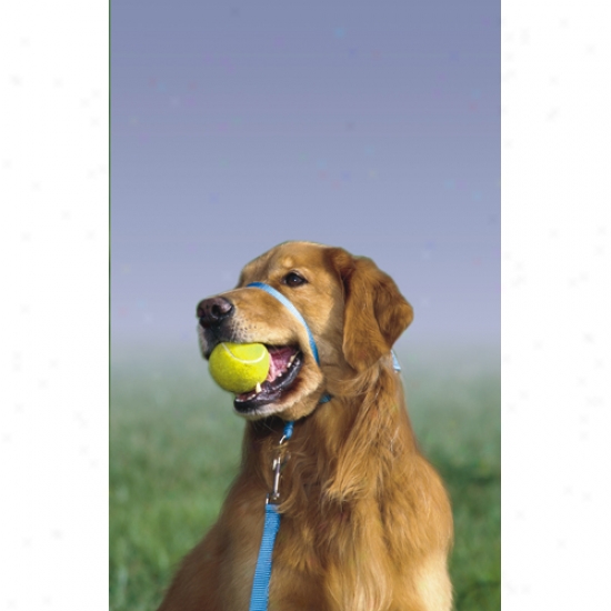 Gentle Leader Head Collar (x-large) Red