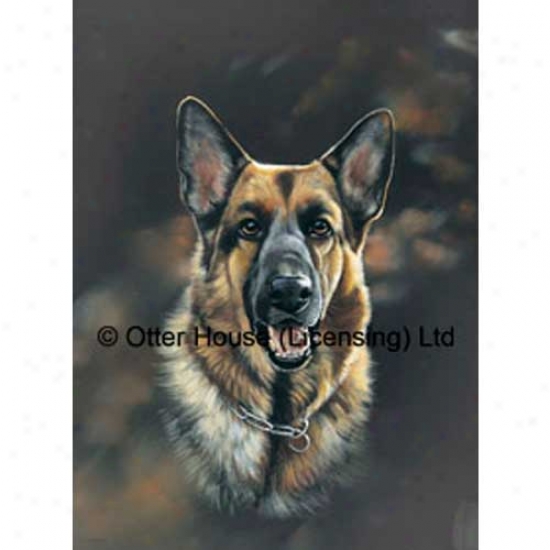 German Shepherd Dog Iris
