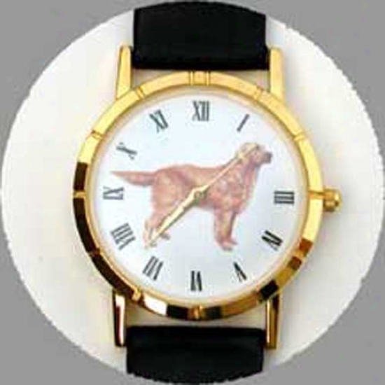 Gllden Retriever Watch-  Small Face, Black Leather