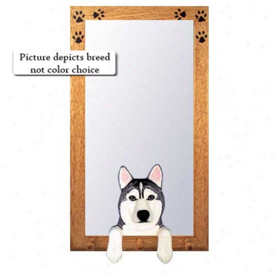 Grey And White Siberian Husky Hall Mirror With Oak Golden Frame