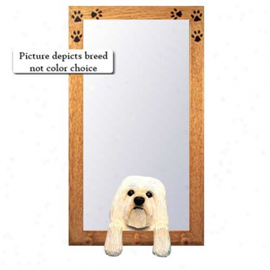 Grey Havanese Hall Mirror With Oak Golden Frame