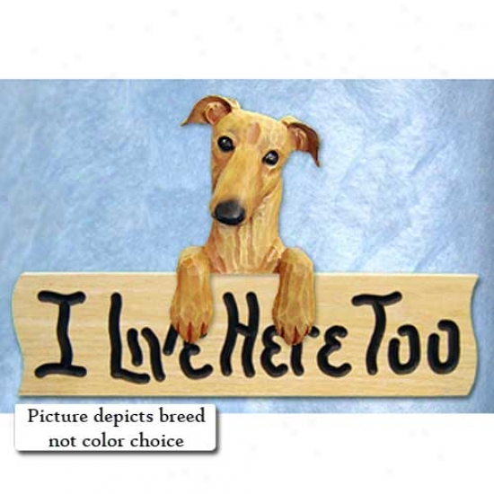 Greyhound I Live Here Too Oak Finish Sign Grey