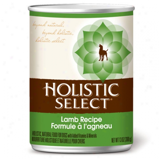 Holistic Select Lamb Dog Food Case Of 12 13.2oz Cans
