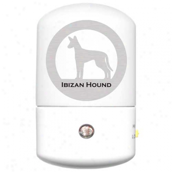 Ibizan Hound Led Night Light