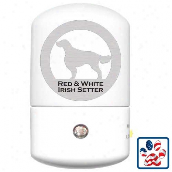 Irish Red And White Setter Le dNight Light