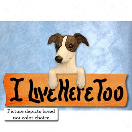 Italian Greyhound I Live Here Too Maple Finish Sign Red