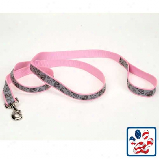 Lazerbrite Dog Lead 1inch X 6 Feet Pink Hearts