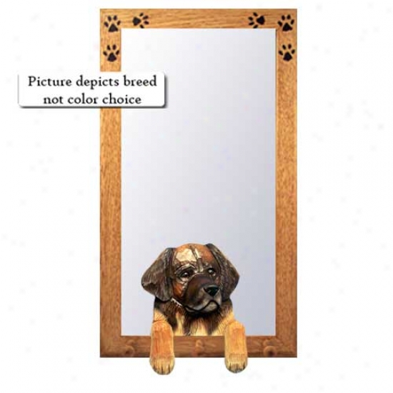 Leonberger Hall Mirror With Basswood Walnut Frame