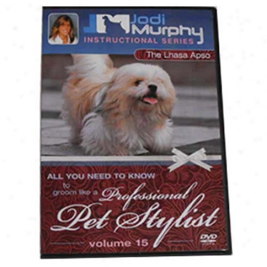 Lhasa Apso Grooming Dvd At Jodi Murphy