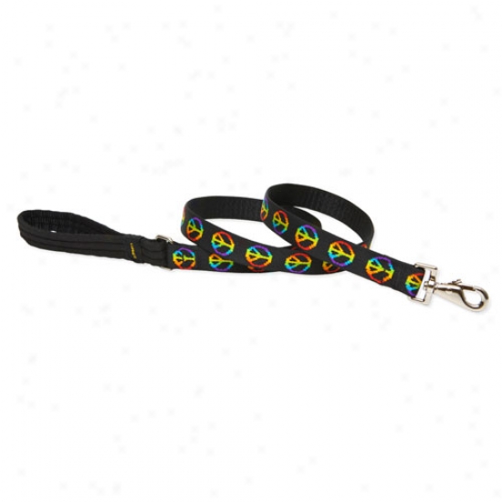Lupine Woofstock 1 Inch Wide Lead 6 Feet