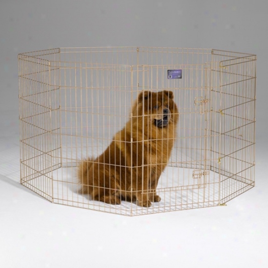 Midwes Gold Exercise Pen W/walk Thru Door And Clips - 36 In High