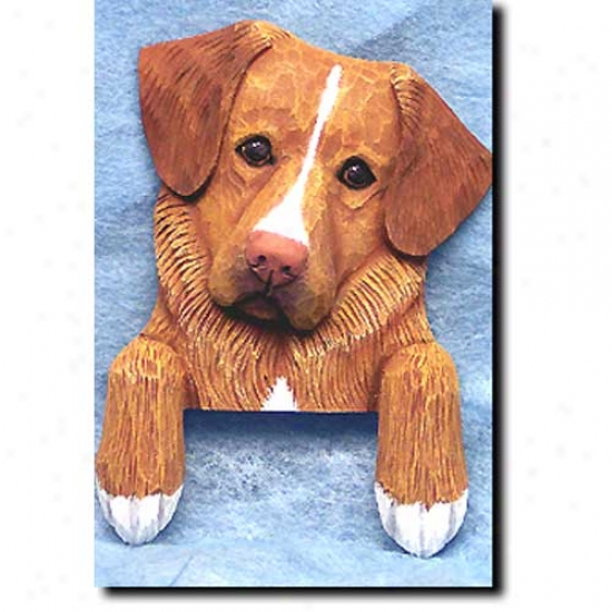 Nova Scotia Duck Tolling Retriever