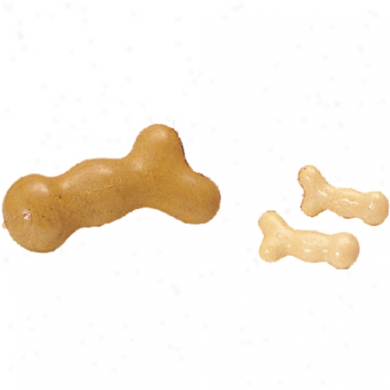 Nylabone Galileo Bone -skuper (7" )