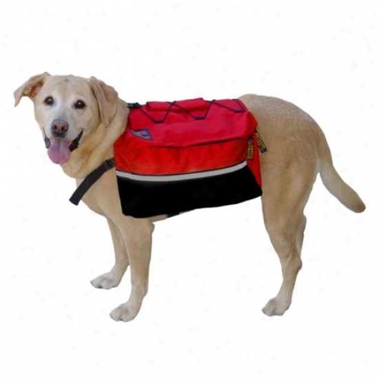 External Hound Quick Release Back Pack Large - Assorted Colors