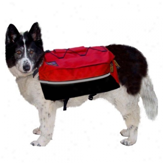 Outward Hunt hard Quick Release Back Pack X-large - Assorted Colors