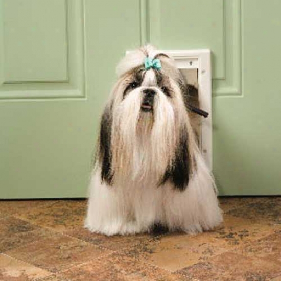 Petsafe Plastic Pet Door Small