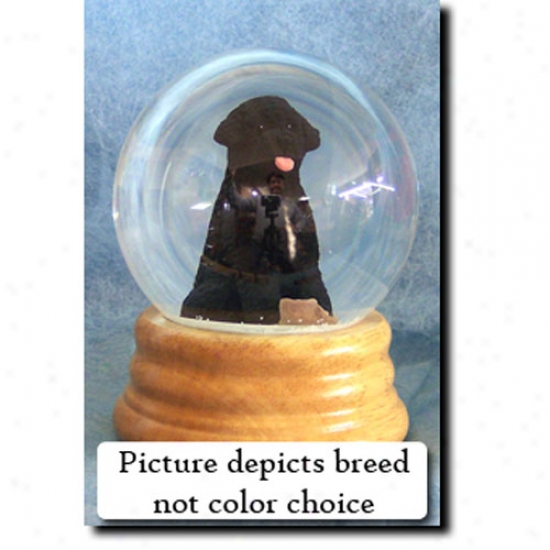Portuguese Water Dog (black) Musicap Snow Globe