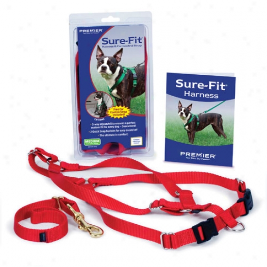 Premier Sure Fit Harness By Premier 1 X 42 In Red